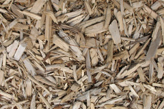 biomass boilers Perryfoot